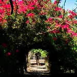 Quinta Da Fontes Alcochete