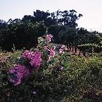 Quinta Da Fontes ألكوشيت