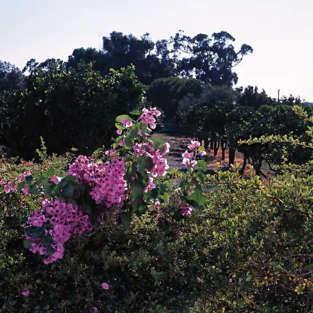 Quinta Da Fontes Alcochete