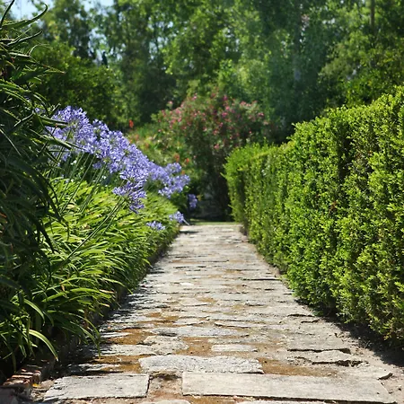 Quinta Da Fontes 알코체테
