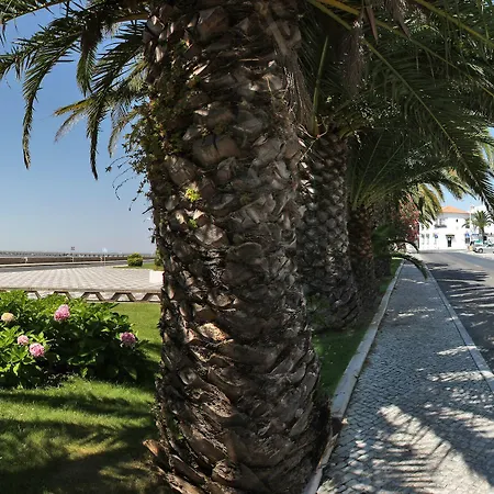 Quinta Da Fontes 4* 알코체테