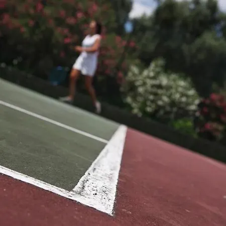 Quinta Da Fontes בית הארחה 4*