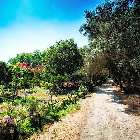 Quinta Da Fontes 4* Alcochete