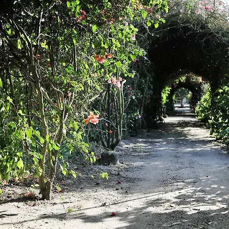 ゲストハウス Quinta Da Fontes