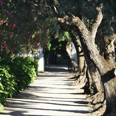 Affittacamere Quinta Da Fontes