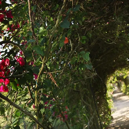 Affittacamere Quinta Da Fontes Alcochete